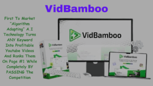 VidBamboo AI video creation software review - creating a viral video from text